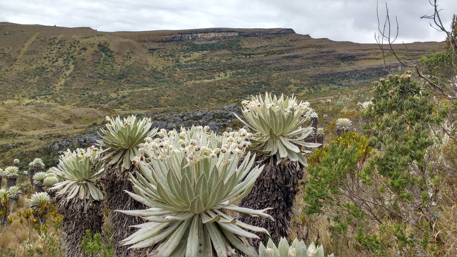 Andes Orientales destination