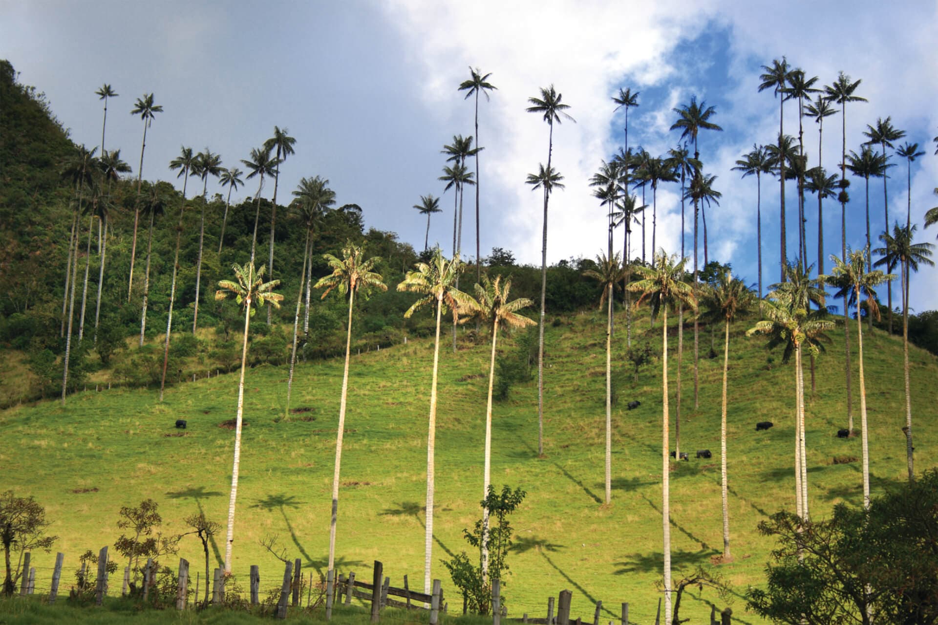 Andes Occidentales destination