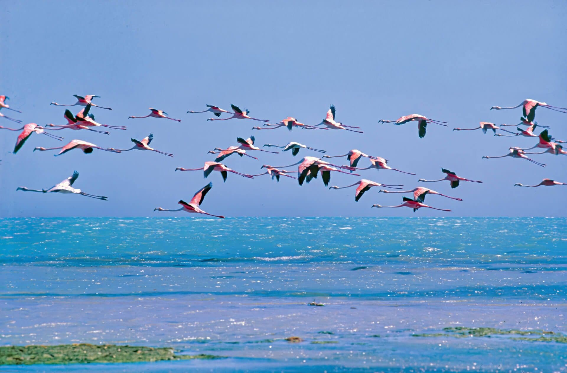 Gran Caribe destination