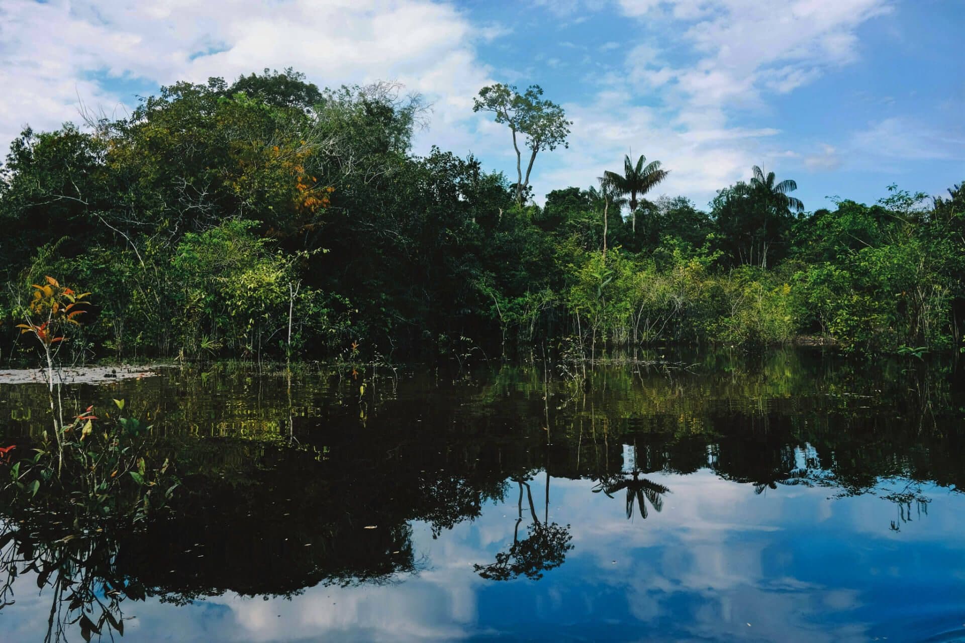 Amazonía - Orinoquía destination