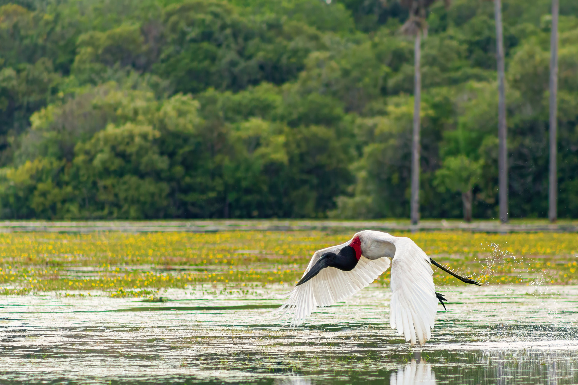 Naturaleza y vida